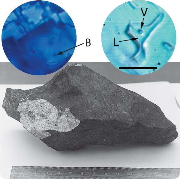 meteorites and asteroids. asteroids-monahans_meteorite.