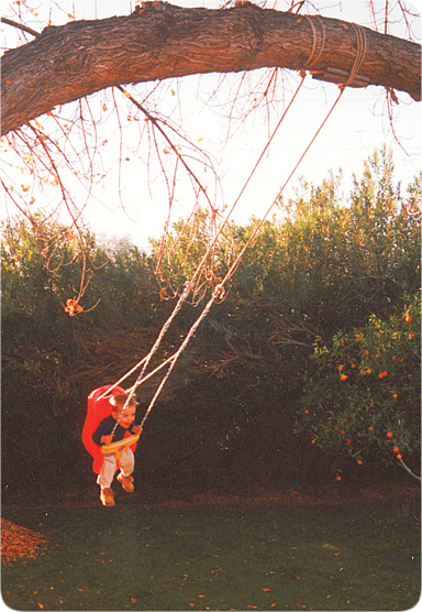 conservation of energy. in Conservation of Energy.