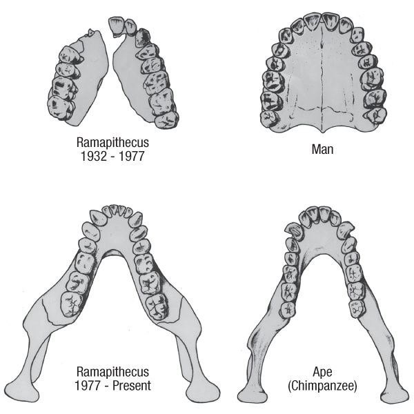 lifesciences-ramapithecus.jpg