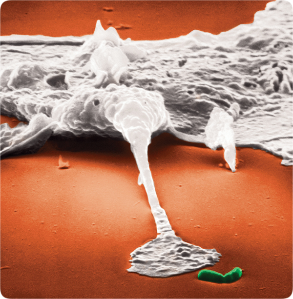 My Image 35