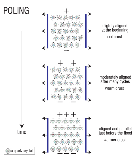 radioactivity-poling_alignment_of_charges.jpg Miniatura da Imagem