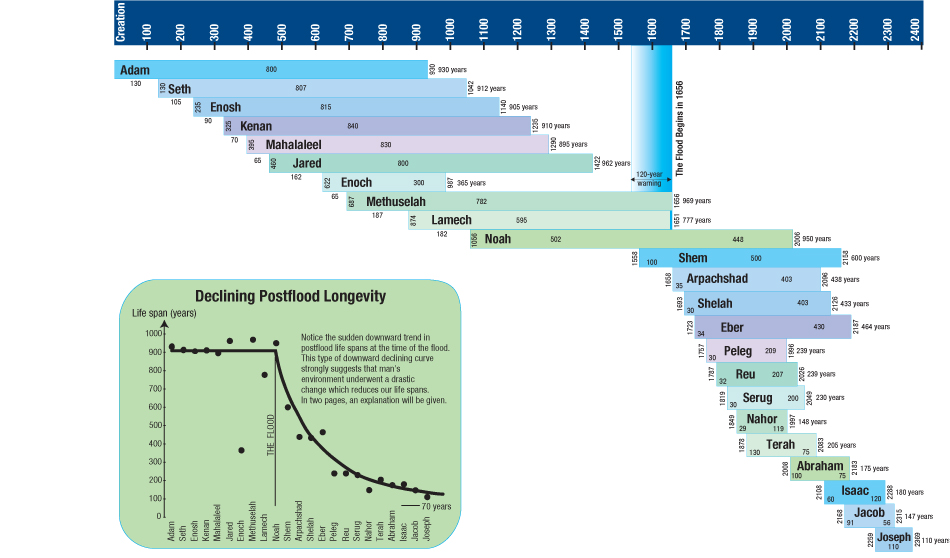 Adam And Lineage Chart